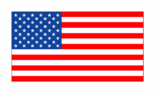 US Flag 50